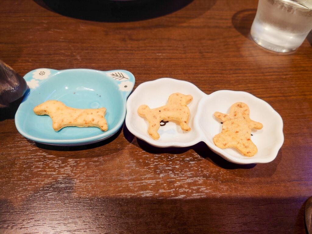 odawara cafe & salon Mikanka