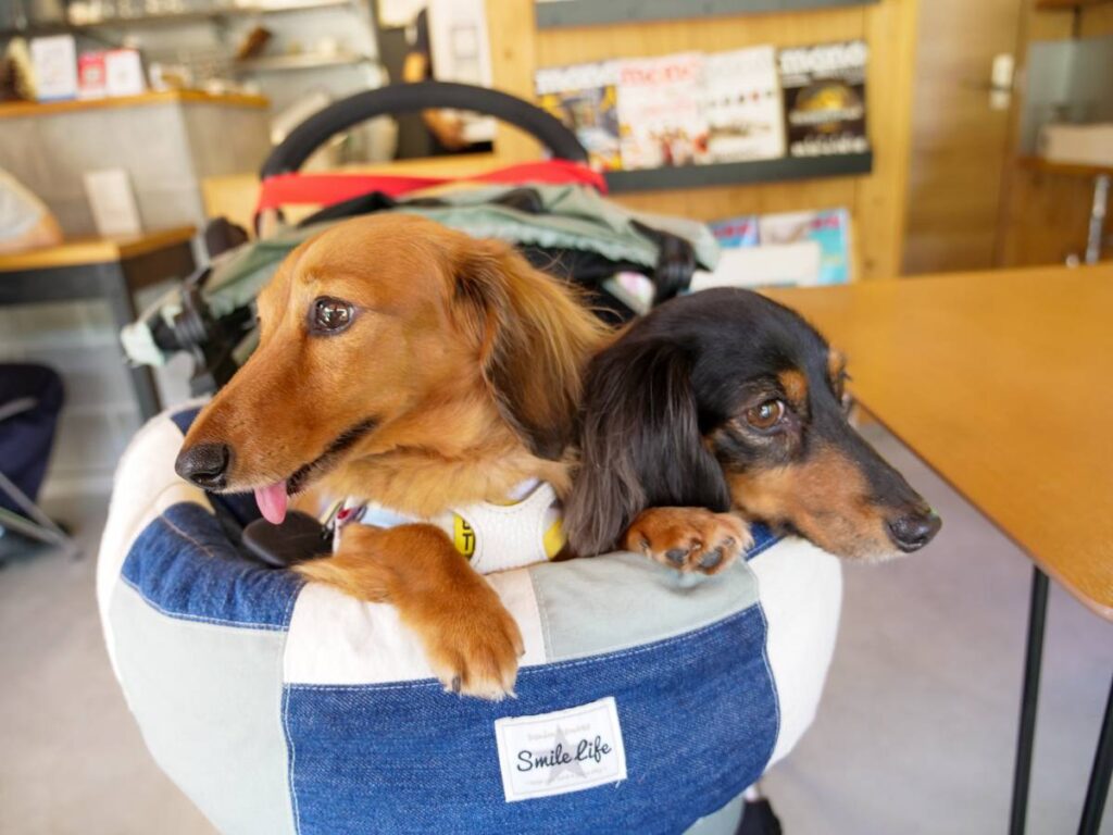 NIWA＋ カフェ＆ドッグラン外観
