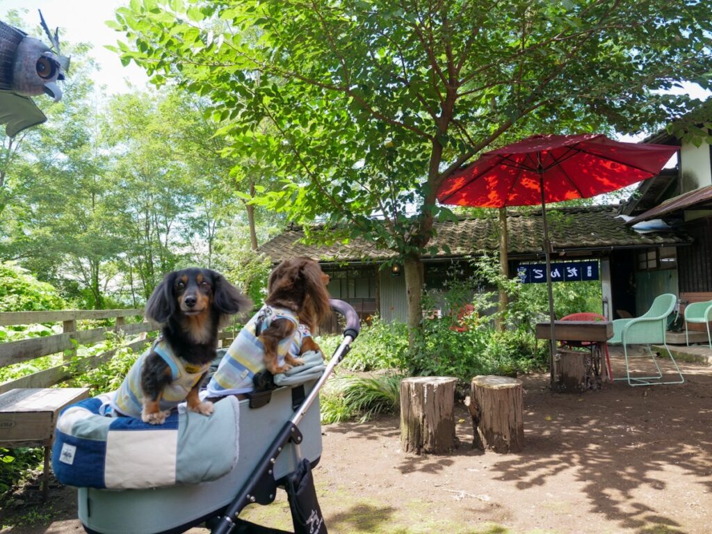 だんごカフェかえる亭御代田 外観