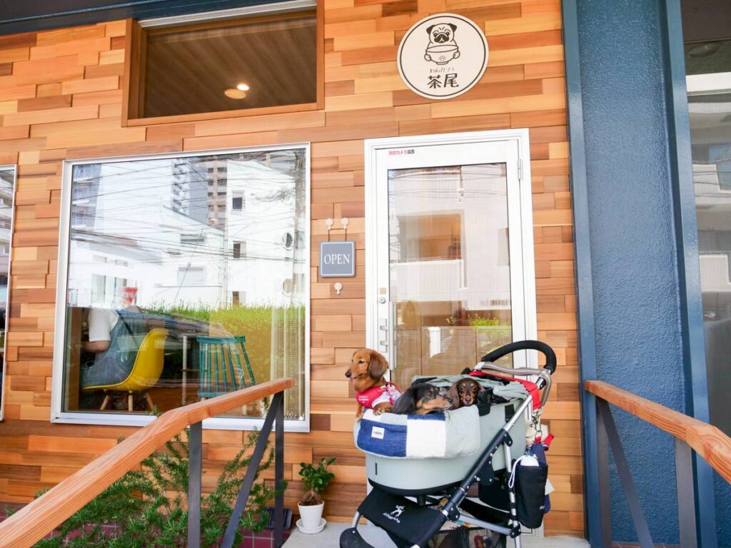 わんカフェ茶尾の外観とカートに乗ったダックスフンド3姉妹