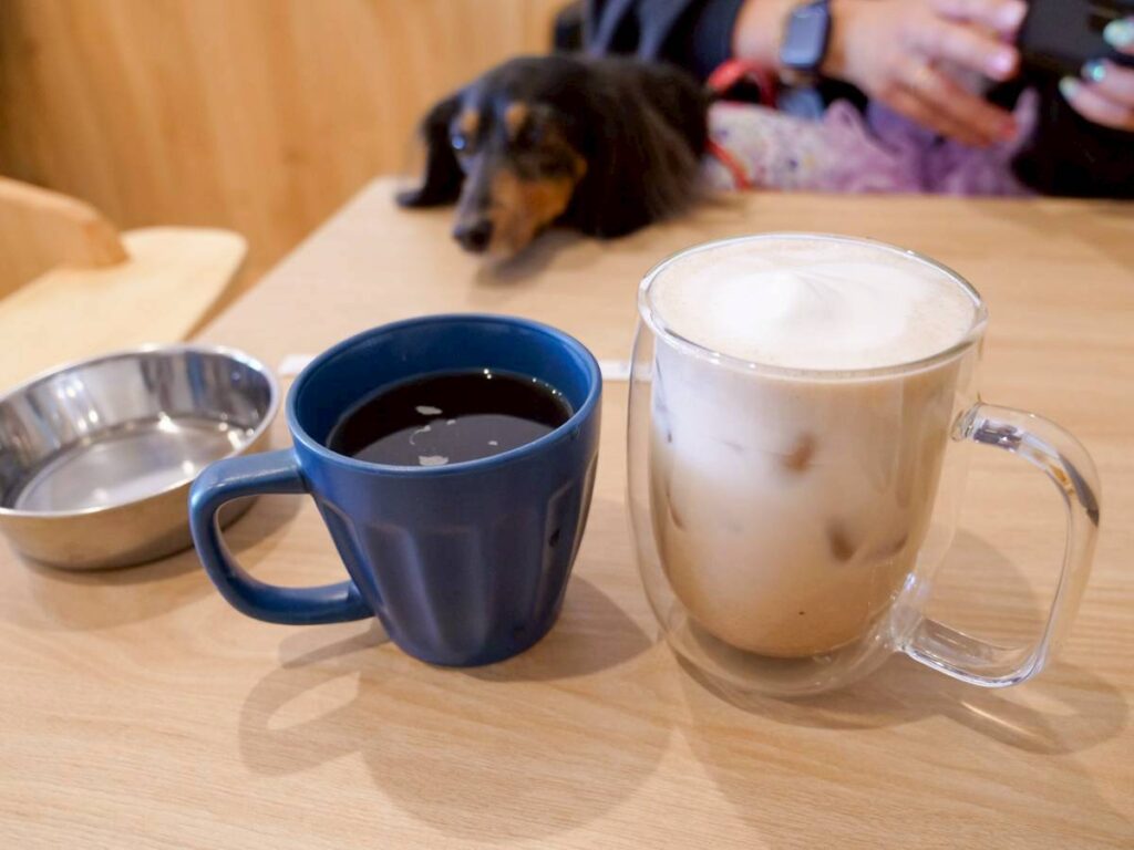 わんカフェ茶尾のドリンクとダックスフンド