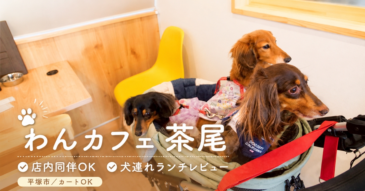 わんカフェ茶尾店内愛犬〇