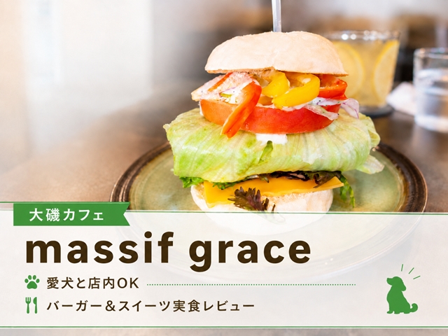 中郡大磯町のmassif graceを犬連れレビュー｜店内OK・駐車場・メニューを紹介