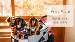 ビブラビブレの店内愛犬同伴スペースでカートに乗るダックス3頭
