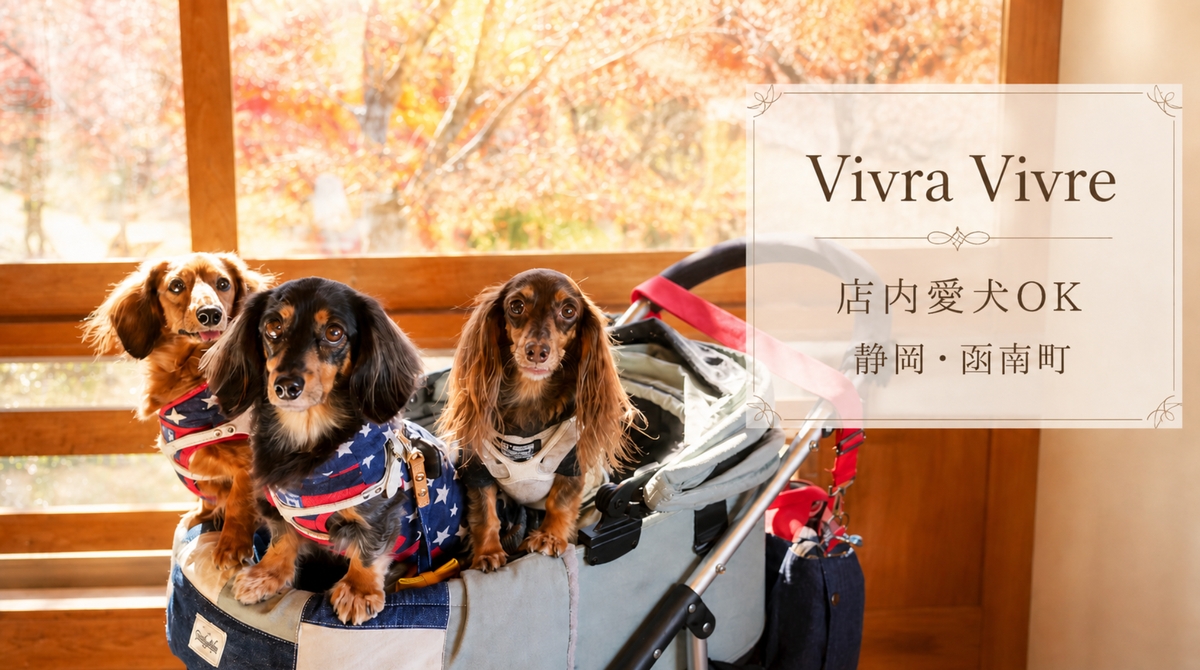 ビブラビブレの店内愛犬同伴スペースでカートに乗るダックス3頭